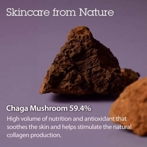 Natural Chaga Mushroom Facial Cream